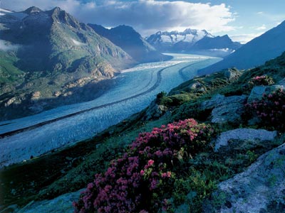 Aletsch Gletscher